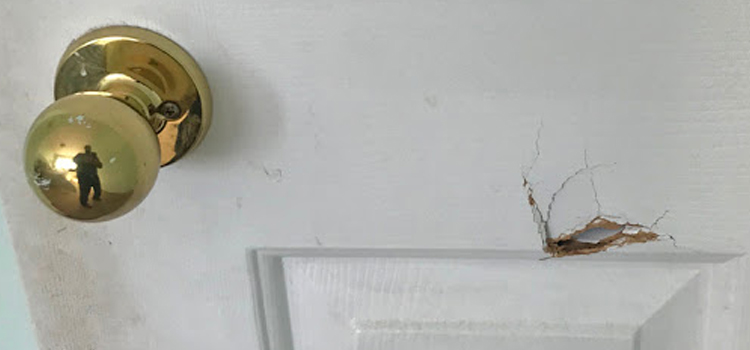 interior door hole repair Marina