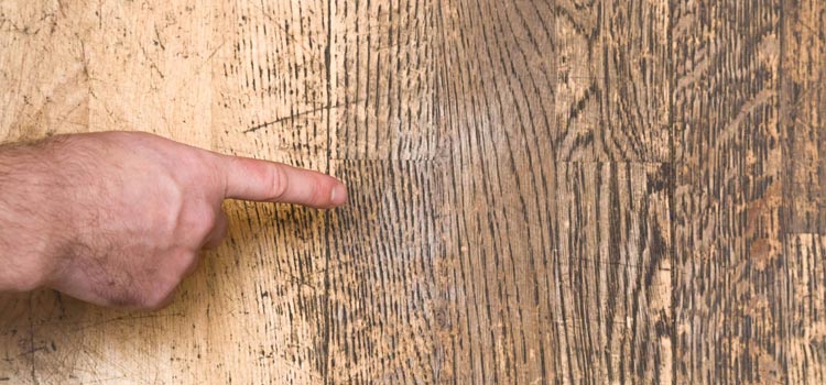 Wood Door Scratch Repair in Marina